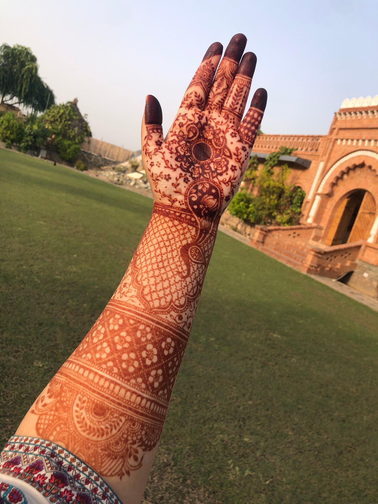 Bridal Henna - Artist Pack